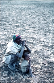 Drought conditions in Ethiopia 